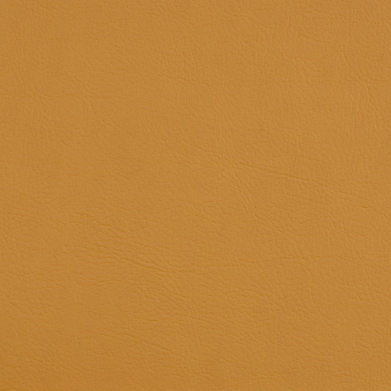 TSVA-2116 camel